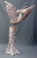 Flying Pelican Standing on Log