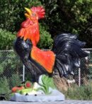 Rooster With Fruits