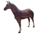 XL Horse