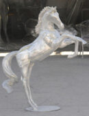 Rearing Colt Facing Right