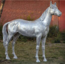Silver Horse