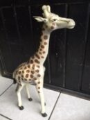 Small Giraffe
