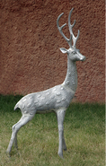 Male Gazelle