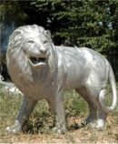 Standing Lion Looking Left