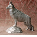German Shepherd on Stone