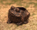 Toad Planter