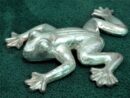 Wall Hanging frog