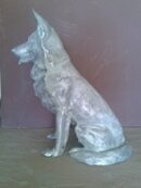 Sitting German Shepperd