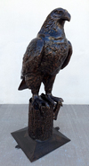 Standing Eagle on Log #2
