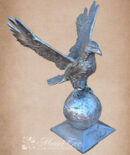 Medium Eagle on Medium Ball