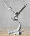 American Eagle on Branch