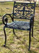 Big Flor de Lyz #3 Chair