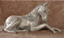 Lying Colt
