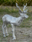 Mini elk Standing #2