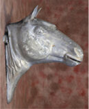 Wall Horse Head