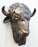 Baby Buffalo Head wall Hanging