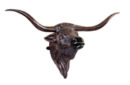 Large Longhorn Wall Head hanging
