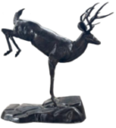 Buck Jumping On Rock