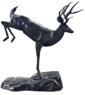 Buck Jumping On Rock