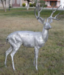 Deer Buck Facing Right