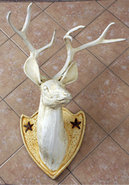 Deer Head Wall