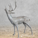 Buck Eating Branches Head Up