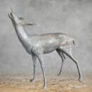 Deer Doe Eating Brunches