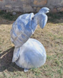 Big Sea Turtle on ball