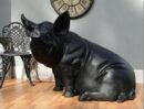 LARGE SITTED PIG