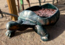 Large Turtle Planter