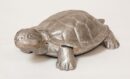 Mini Turtle